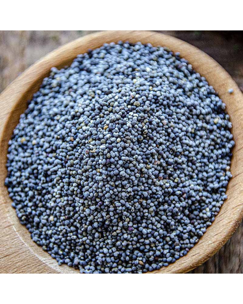 Semillas De Amapola - Garden Seeds Market | Envío Gratis