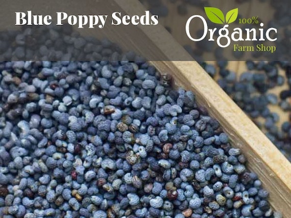 Mohn Samen Fr Tee / Frisch & Bio Blaumohn Samen - Handgemacht - Aus  biologischem Anbau - Bio Blaumohn Tee Samen/Kruter 50g -1,85kg - Etsy  sterreich