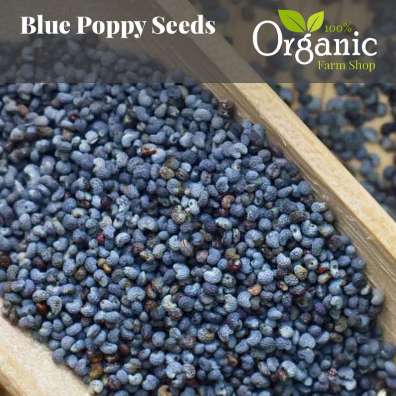 ORGANIC BLUE POPPY Seeds 50g 10kg High Quality Organic Fresh Poppy