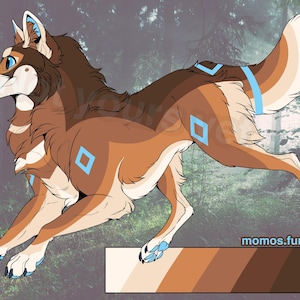 Sesame Shiba Inu Wolf Adopt Character Design Adopt Adoptable Furry Artwork Reference Sheet Sona Fursona Fursuit Friendly OC Ref Sheet Canine