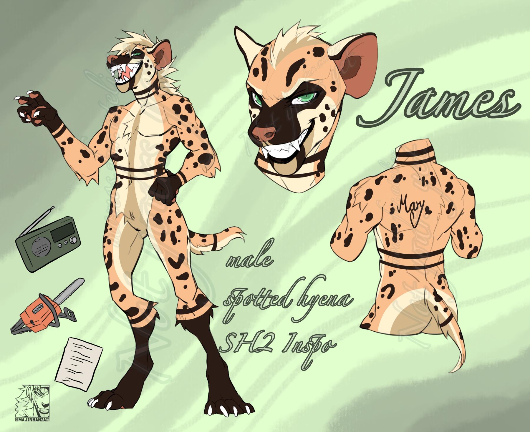 James Sunderland Inspired Spotted Hyena Fan Oc Adopt Adoptable