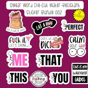 Swear Word Die-cut Water-Resistant Sticker Bundle #2, Adult Humor Sticker Pack