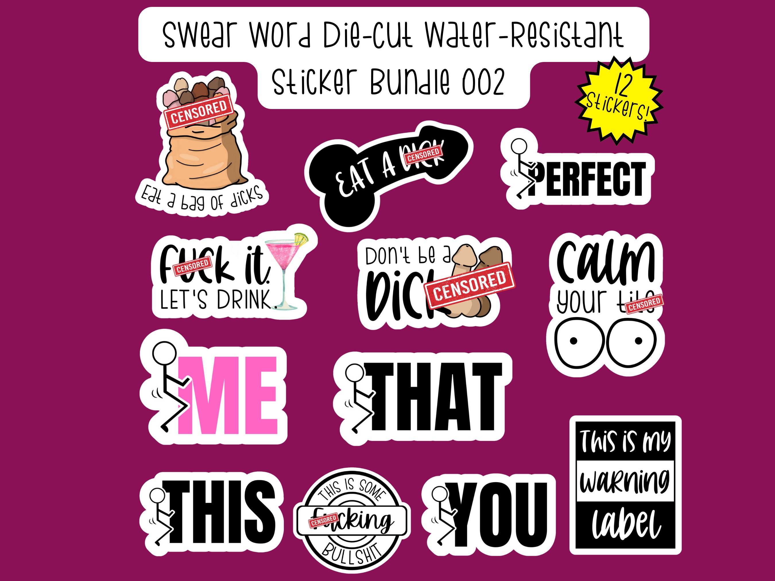 Cuss Word Stickers, Set of 24 Stickers, Colorful Stickers, Waterproof  Sticker, Journal Sticker, Die Cut Sticker, Swear Word Stickers, Saying  Stickers