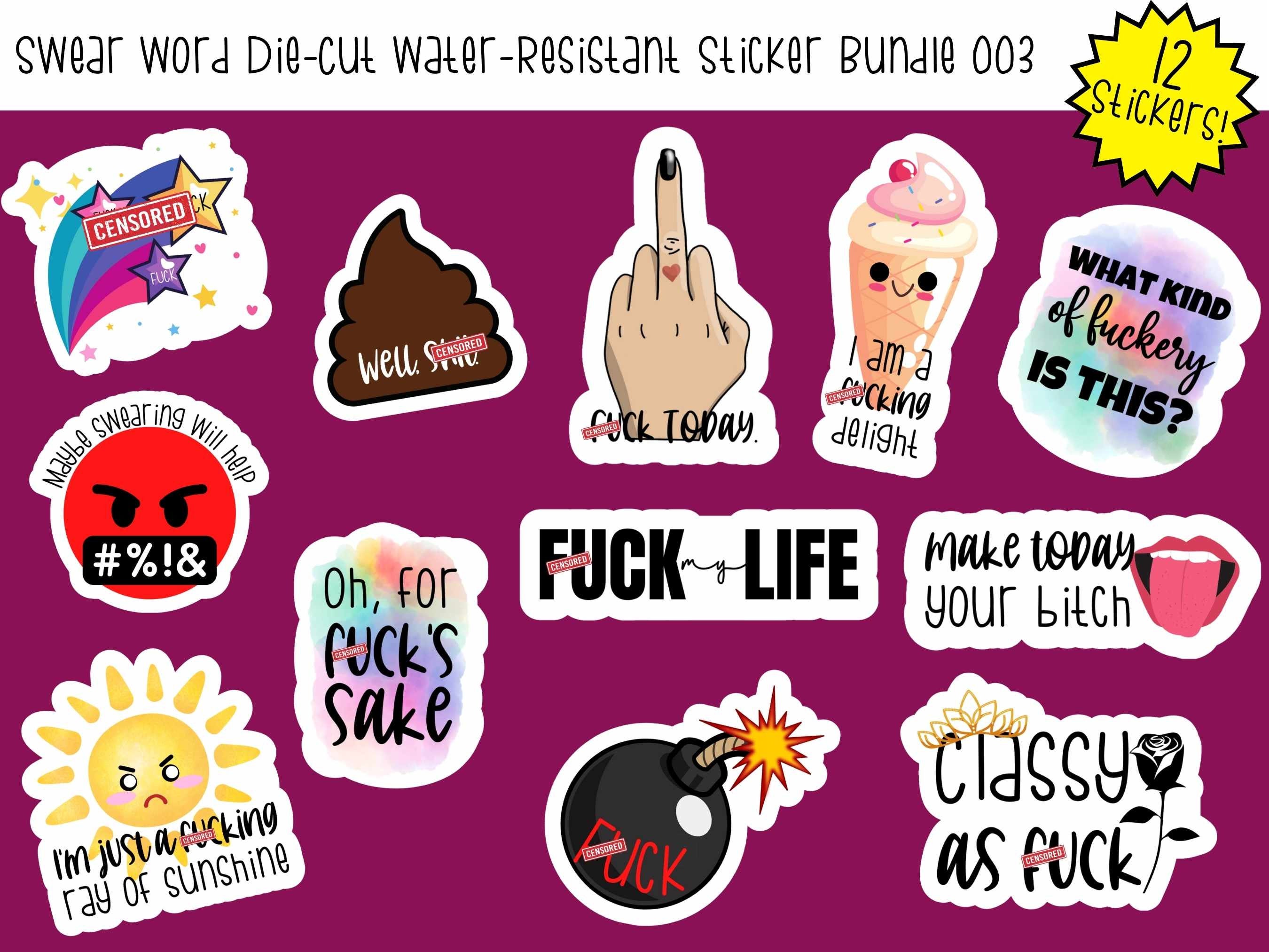 Cuss Word Stickers, Set of 24 Stickers, Colorful Stickers, Waterproof  Sticker, Journal Sticker, Die Cut Sticker, Swear Word Stickers, Saying  Stickers