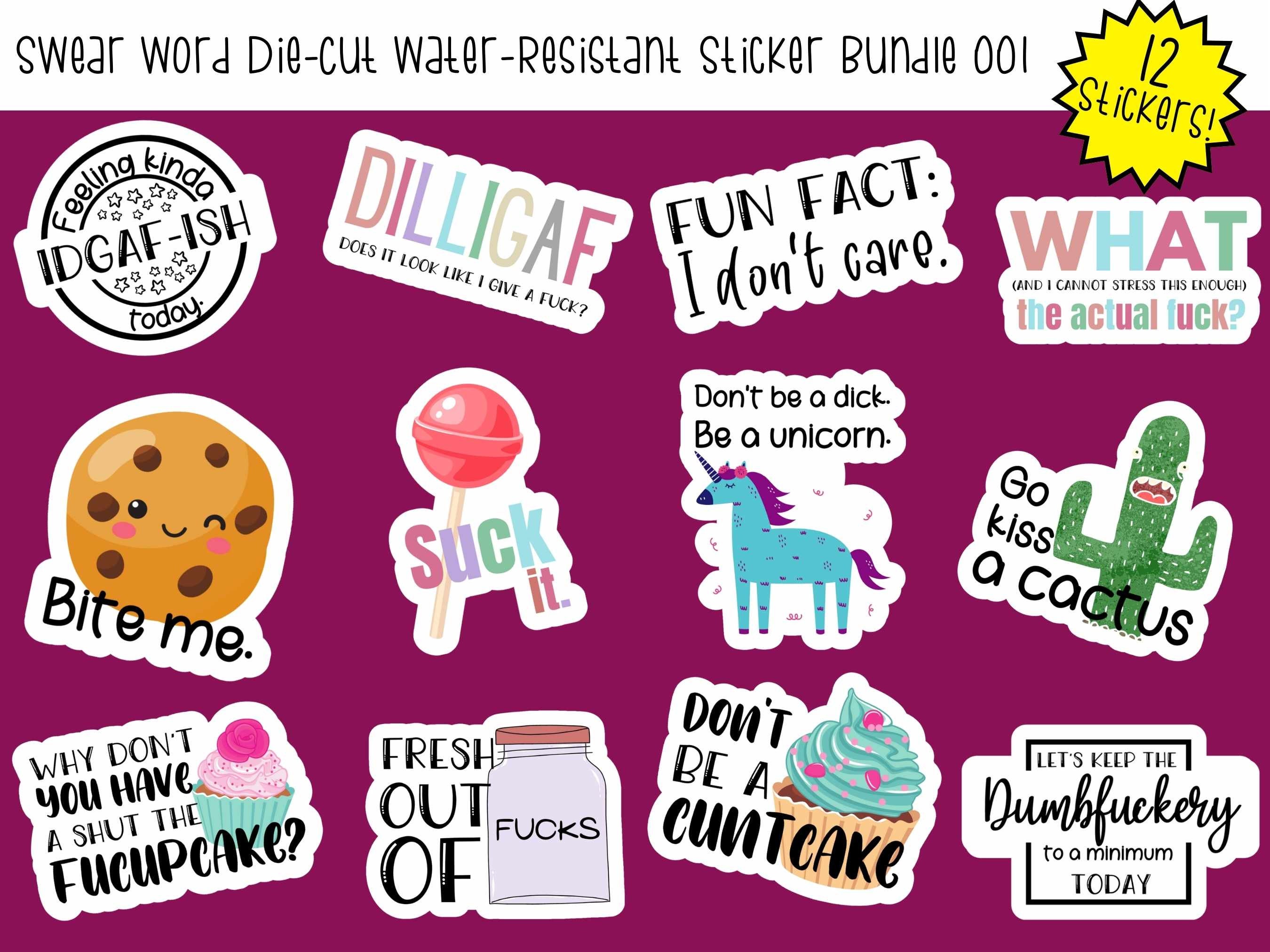 6 Pack Funny Adult Humor Inappropriate Hilarious Stickers Sticker Slap  Die-Cut