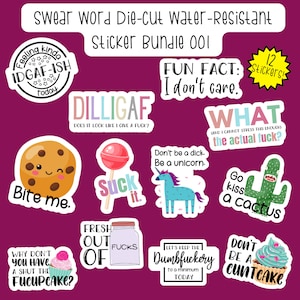 Swear Word Die-Cut Water-Resistant Sticker Bundle #1, Adult Humor Sticker Pack, Profanity Stickers, Adult Stickers, Lewd Stickers