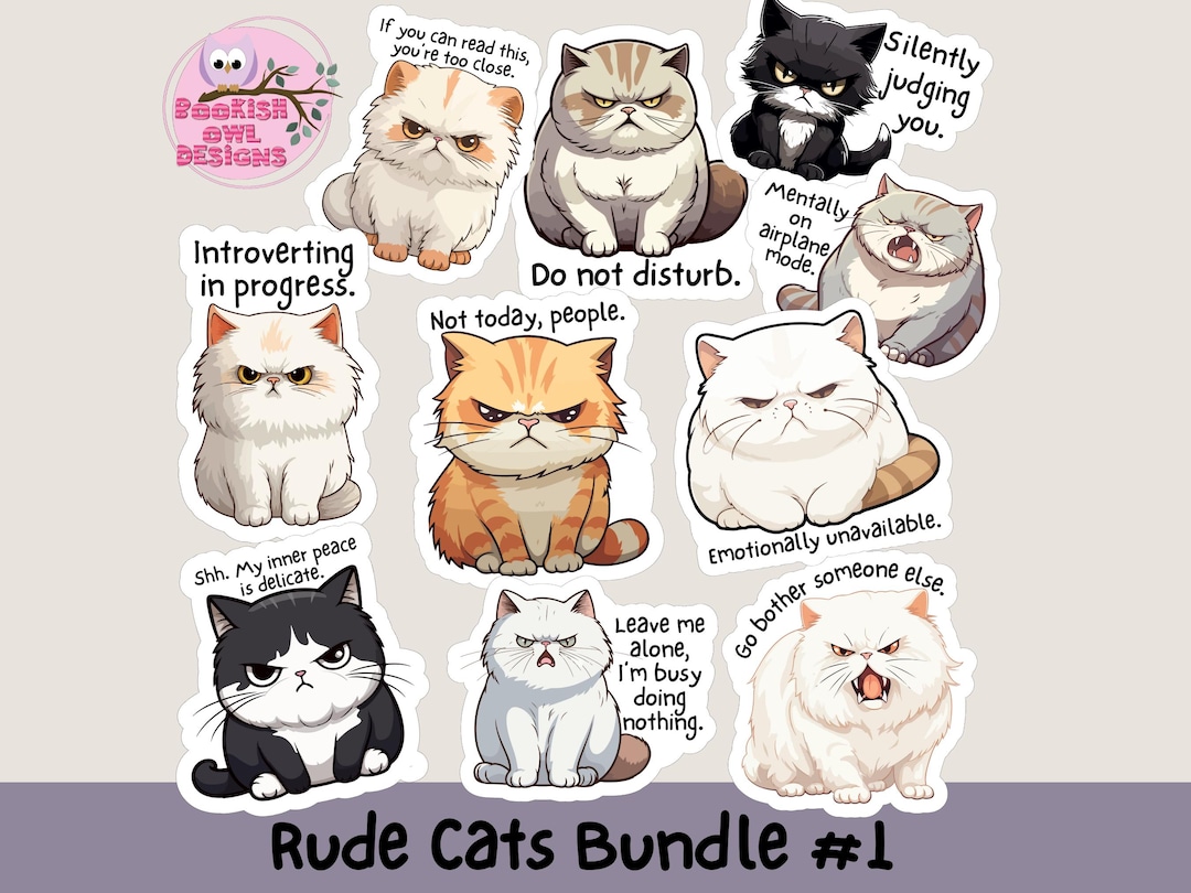 Funny Cat Vinyl Sticker Pack | 10 Snarky Rude Cat Stickers for Laptops ...