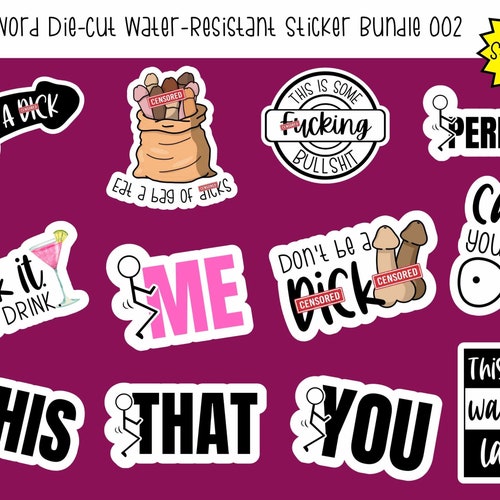 Swear Word Die Cut Water Resistant Sticker Bundle 2 Adult Etsy 