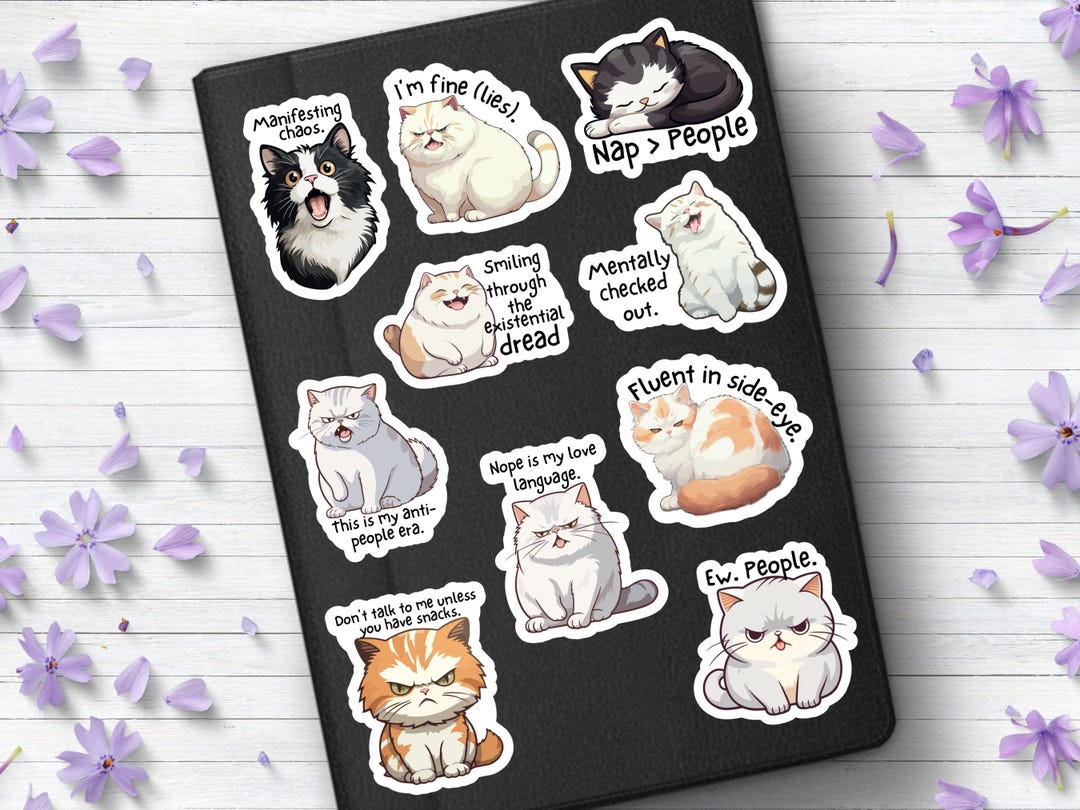 Funny Cat Vinyl Sticker Pack #2 | 10 Snarky Rude Cat Stickers for ...