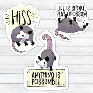 Possum Stickers, Opossum Stickers, Funny Cute Opossum Stickers