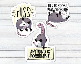 Possum Stickers, Opossum Stickers, Funny Cute Opossum Stickers