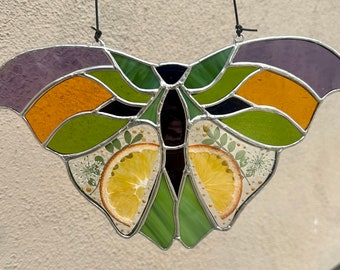 Stained Glass Butterfly with Pressed & Dried Fruit and Flowers