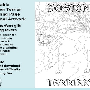 Printable Boston Terrier Coloring Page-all original artwork