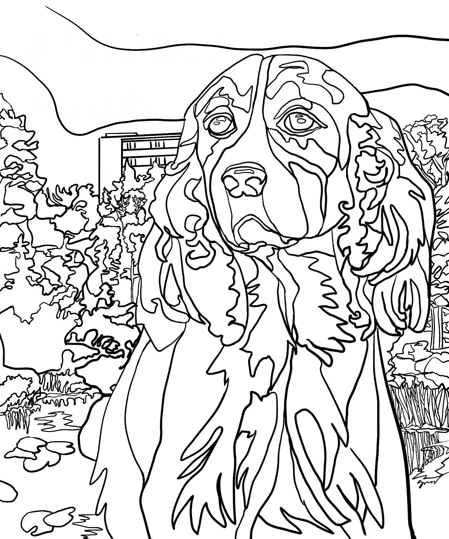 Printable Springer Spaniel Dog Coloring Page From Original Artwork ...