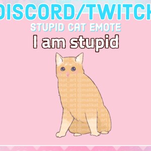 Meme Cat Emote