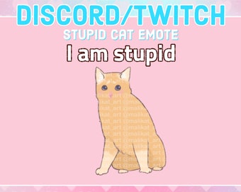 Emoticón de gato meme