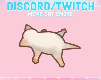 Emoticón de gato meme