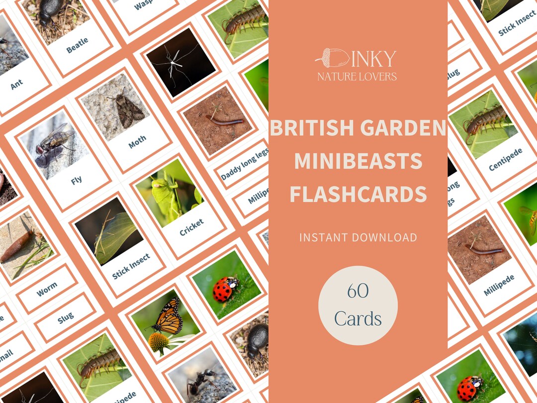 Garden Minibeast Flashcards Printable Toddler Activities Etsy