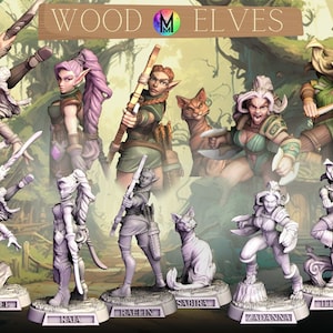 Wood Elf Set - Set of six Female adventurers for your Dungeons and Dragons Tabletop RPG