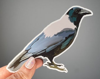 Waterproof hooded crow vinyl sticker.