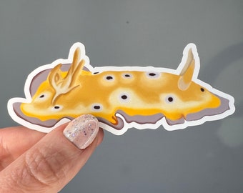 Waterproof sea slug vinyl sticker. Cute, bright, yellow, purple, spotted nudibranch