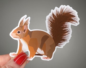 Red squirrel waterproof vinyl sticker, animal art, British wildlife