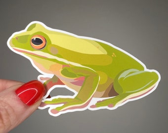 Frog waterproof vinyl sticker, American green tree frog, cottagecore, amphibian, wildlife art