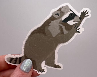 Raccoon vinyl sticker