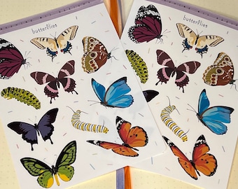 Butterfly vinyl sticker sheet. Butterflies, caterpillar, bug stickers