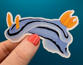 Waterproof vinyl sticker. Blue and orange striped sea slug, nudibranch