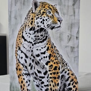 Biglietto Jaguar, biglietto vuoto, biglietto d'arte, biglietto di auguri, biglietto disegnato a mano, biglietto con fauna selvatica, biglietto con fauna selvatica africana, biglietto con animali, BigCat, con biglietto