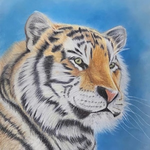 Limited Edition Art Print, Giclee Print, Landscape Matte Art Print , Tiger Art, Tiger Print