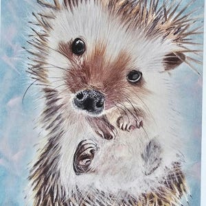 Impresión de edición limitada, erizo, erizo, dibujo de impresión, arte