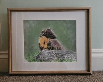 Pine Marten, Original Wild Life Pastel Painting, unframed