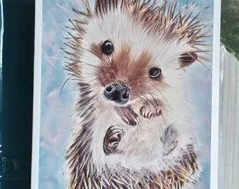 Greetings Card,HedgeHog, Hedge Hog,Blank,Print Drawing, Art
