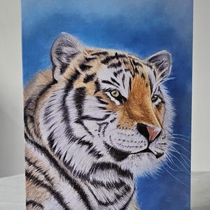 Tigre, biglietto vuoto, biglietto d'arte, biglietto di auguri, biglietto disegnato a mano, biglietto con fauna selvatica, biglietto con fauna selvatica africana, biglietto con animali, BigCat, con biglietto