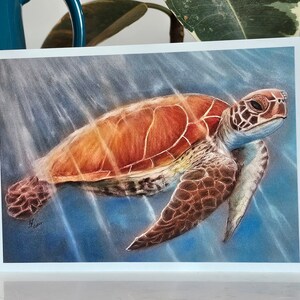 Biglietto di auguri,Tartaruga,Vuoto,Stampa disegno,Arte