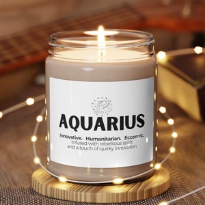 Aquarius Funny Scented Soy Candle, Sarcastic Candle