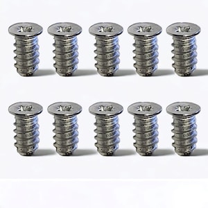 以下が含まれることがあります： 星形の頭とプラスネジの頭を持つ銀色のネジが10本