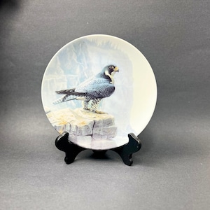 May include: A white ceramic plate with a blue and black falcon perched on a rock. The plate has a blue and white background with a depiction of a rocky cliff face.