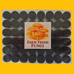 May include: A clear plastic package containing rows of dark grey, circular objects. A rectangular label features an illustration of orange mushrooms and the text "FARM FRESH FUNGI". The background is a solid yellow.