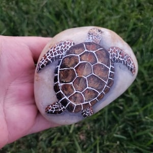 Pebble Painted sea turtle Hand Painted Stone with acrylics and finished image 1