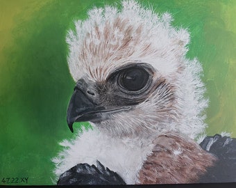 Original Acrylic Painting Baby Eagle