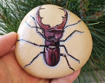 Pebble Painted Beetle Hand Painted Stone with acrylics and finished