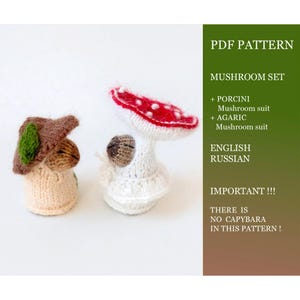 May include: A PDF pattern for a mushroom set featuring a brown porcini mushroom suit and a white agaric mushroom suit with a red cap. The text reads: PDF PATTERN MUSHROOM SET + PORCINI Mushroom suit + AGARIC Mushroom suit ENGLISH RUSSIAN IMPORTANT !!! THERE IS NO CAPYBARA IN THIS PATTERN !