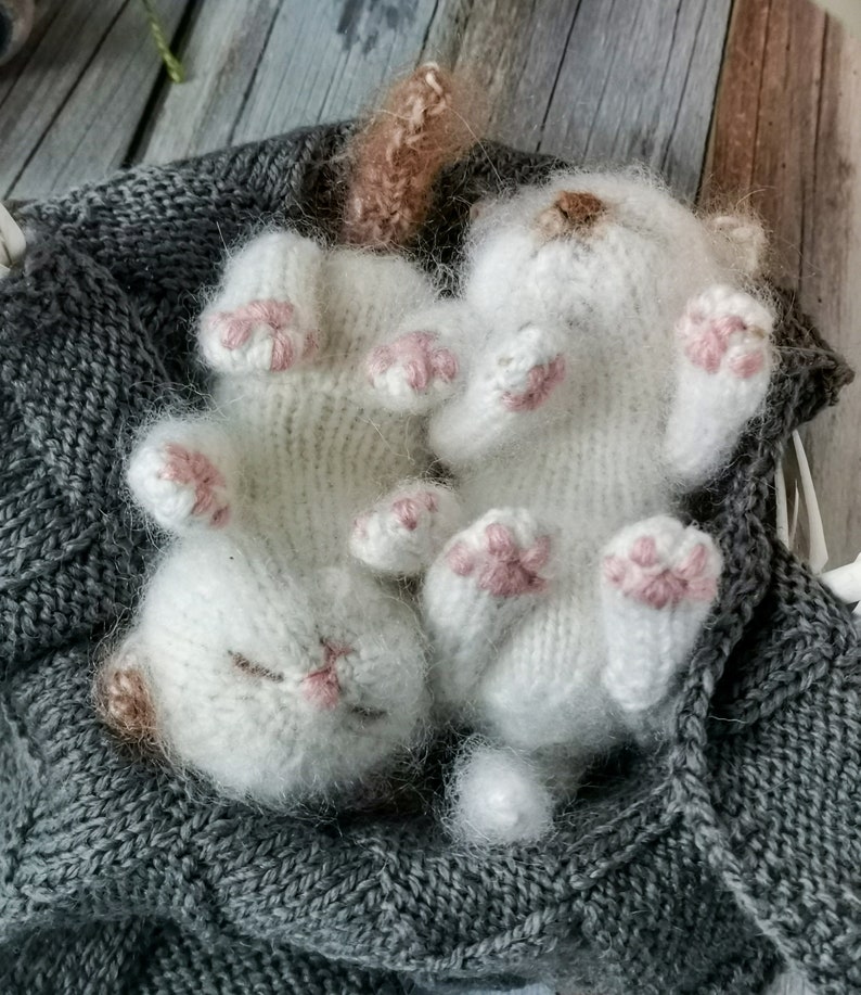 Sleeping Kitten Knittting Pattern. Realistic Kitty Tutorial. Etsy