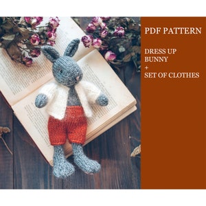 May include: A gray knitted bunny wearing a white cardigan and red pants. The bunny is sitting on a book with dried roses in the background. The text "PDF PATTERN DRESS UP BUNNY + SET OF CLOTHES" is in the upper right corner of the image.
