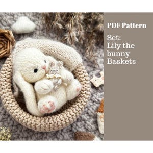 Padrão 2 em 1: Padrão de tricô Lily bunny e Cozy baskets. PDF em inglês e russo.