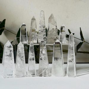 May include: A collection of clear quartz crystal obelisks of varying sizes. The crystals are arranged on a clear shelf and white surface, with green foliage in the background. The obelisks have pointed tops and are translucent.
