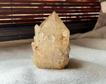 天然コンゴ産シトリンクリスタル、多端石英原石標本 - Etsy 日本